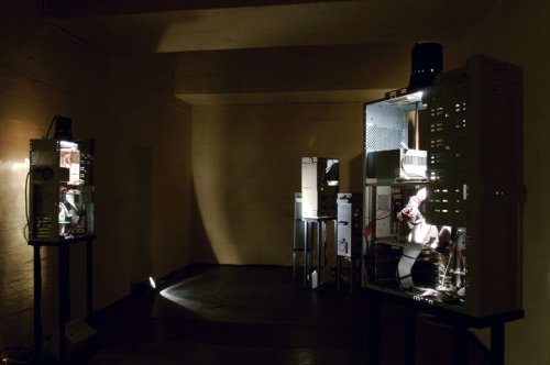 Plattform07, Valentina Vuksic
© Emmanuelle Bayart