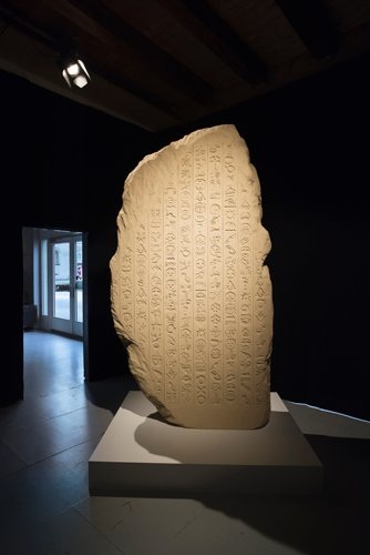 Cathrin Jarema, the immortal jellyfish, Plattform 16, Walcheturm Zürich, 2016