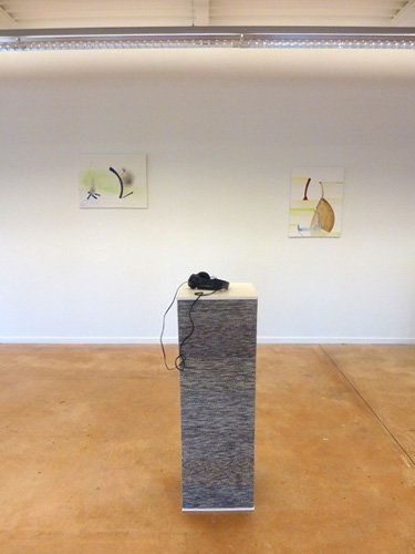 Installation, peintures sur papier marouflé, pièce sonore, socle, 2010