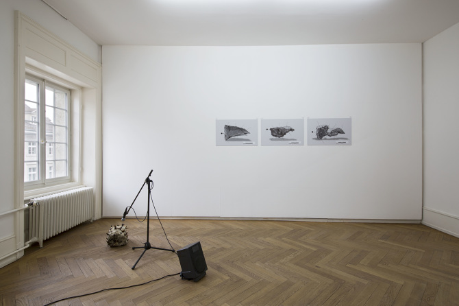 Sonomorphies, 2017–2018