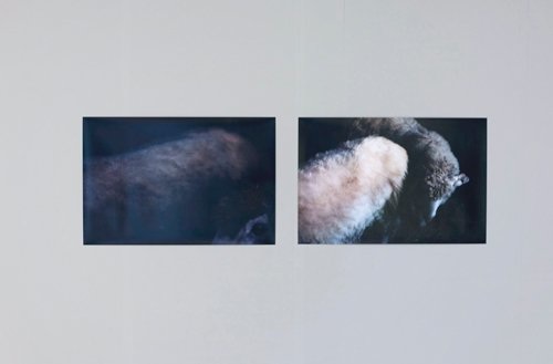 Idea Nr. 123, Digitale C-Prints, 2010