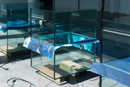 Hive, Newspapers, Glass, Bricks, Exciters, je 75 x 50.8 x 42.2cm, 2015