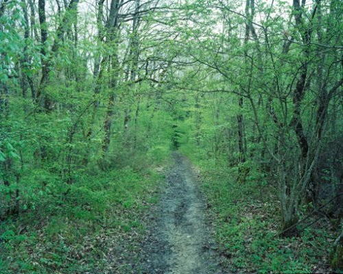 Grenze/Frontière/Frontiera/Cunfin, Inkjet-Print 120 × 150cm, 2008