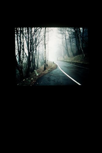 Grenze/Frontière/Frontiera/Cunfin (Plattform09), Projektion, 160 Farbdias, 2009