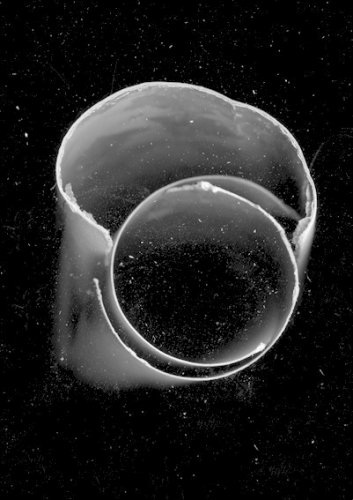 Formales Alphabet, Inkjetprint gerahmt, 30 x 20 cm, 2011