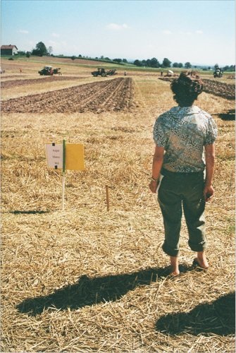 Freie Fotografien von Schweizer Volksfesten, 2010-2012