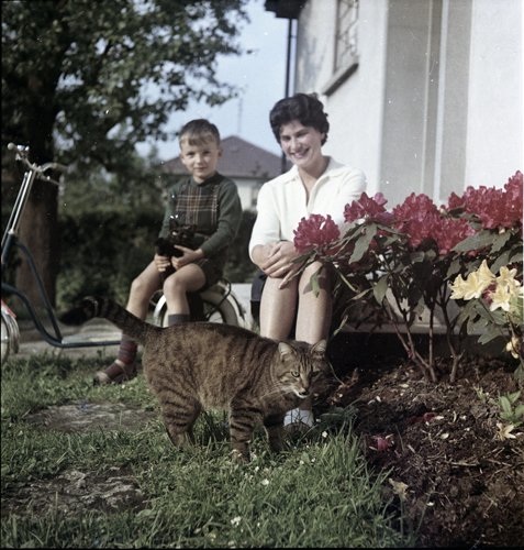 Dijan Kahrimanovic, Gefundenes und eingescanntes Negativ, 2015