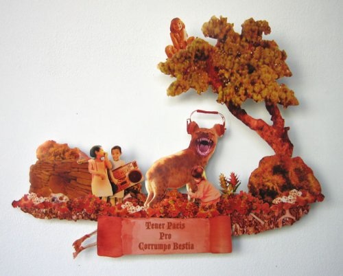 7 Success Stories, 2006