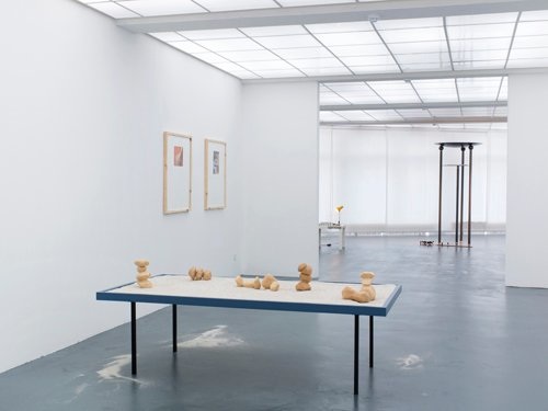 Guaud, curated by Sabine Schaschl, Kunsthaus Baselland, 2013