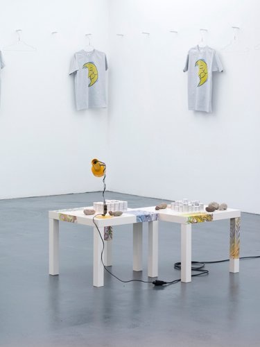 Guaud, curated by Sabine Schaschl, Kunsthaus Baselland, 2013