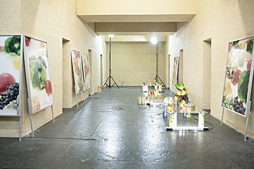 Plattform13, Jan Kiefer, i.eins, Inkjetprint, Aluminiumrahmen
(jeweils 130 x 70 cm), in Zusammenarbeit mit Armin Saner, 2013