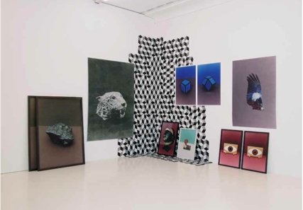 Artefakte und Modelle, Ausstellungsansicht Helmhaus, 2011