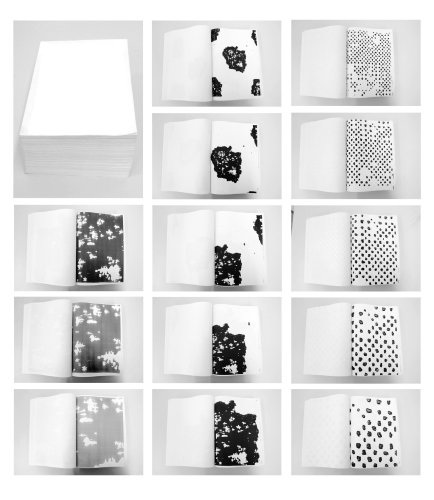 93m2 = 7,5Kg = 198 000%, livre avec 1500 pages photocopiées,
A4, 2010