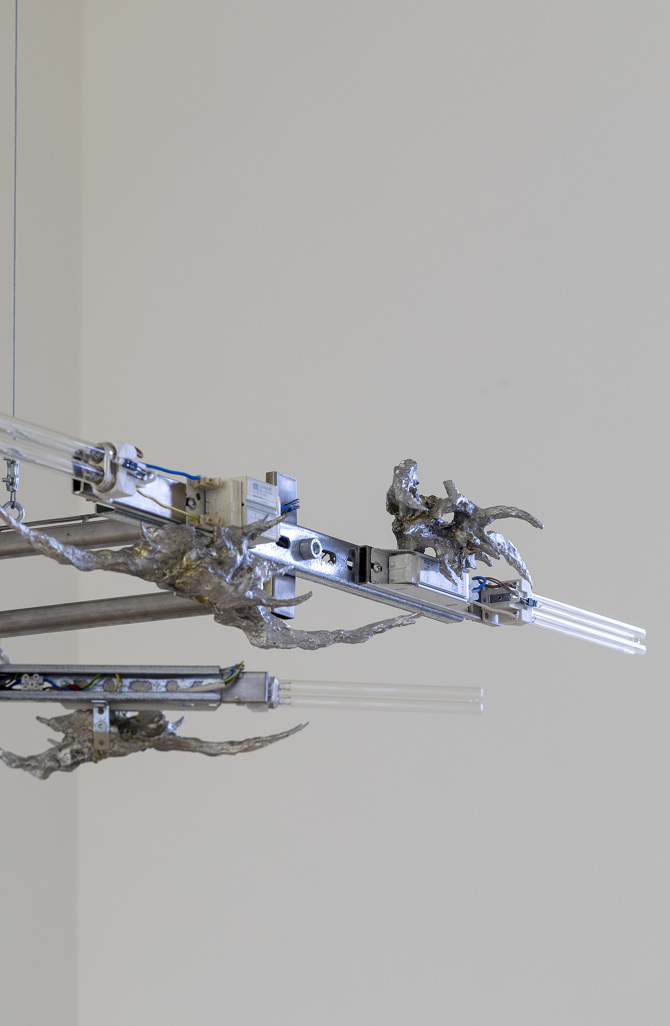 15 minutes of invisible light, Plattform22 at Kunsthalle Palazzo Liestal, 2022