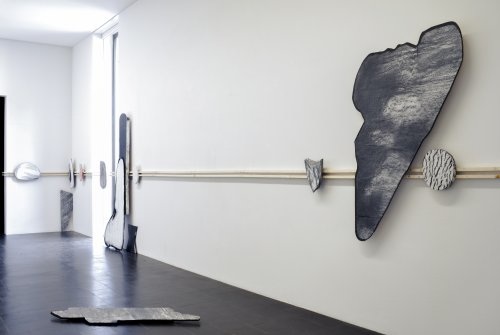 Cocci, Ausstellungsansicht Centre PasquArt, Biel, verschiedene Materialen
auf Holz, Holz, Grösse variabel, 2015
