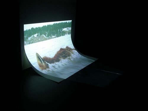 Rouleau, Installation (photographie projetée sur feuille A4), 2008