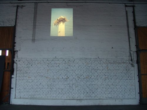 Zustand II, Diaprojektion, Ausstellungsansicht Güterbahnhof Zürich, 2009