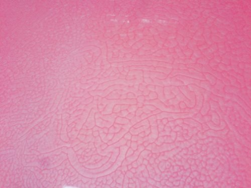 À mon seul désir II (Detail), Flüssigseife, Installationsansicht
Dienstgebäude Zürich, 2009