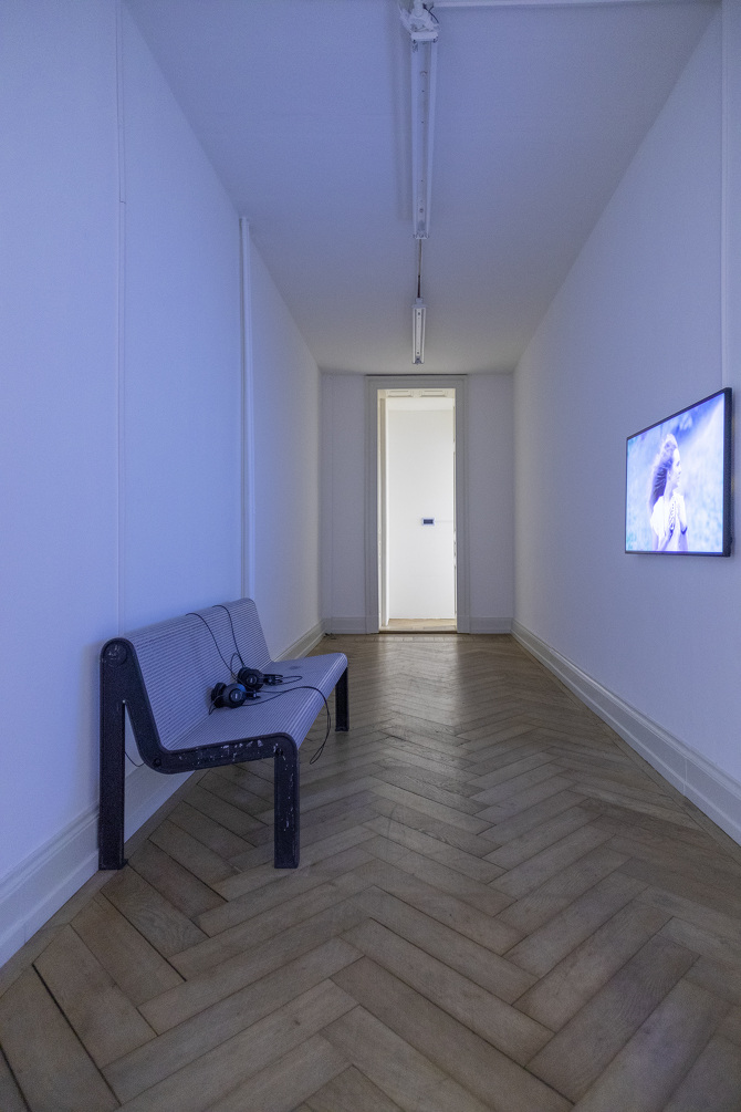 Phenomena, Plattform22 at Kunsthalle Palazzo Liestal, 2022