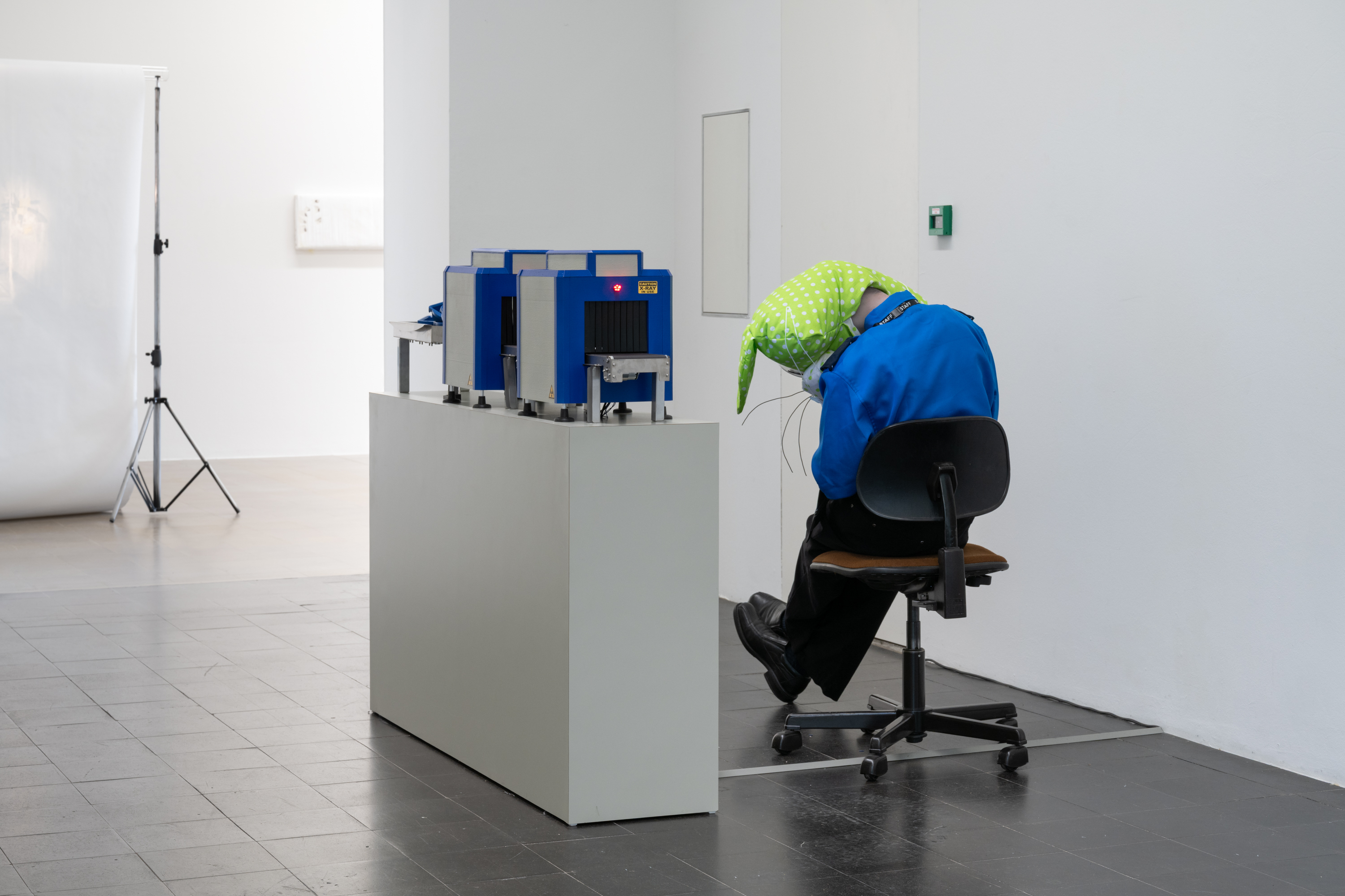 Paul Fritz & Melody Lu, *INWARDLY LOOKING*, 2026. Mixed media, Dimensions variable. Photo: Finn Curry.