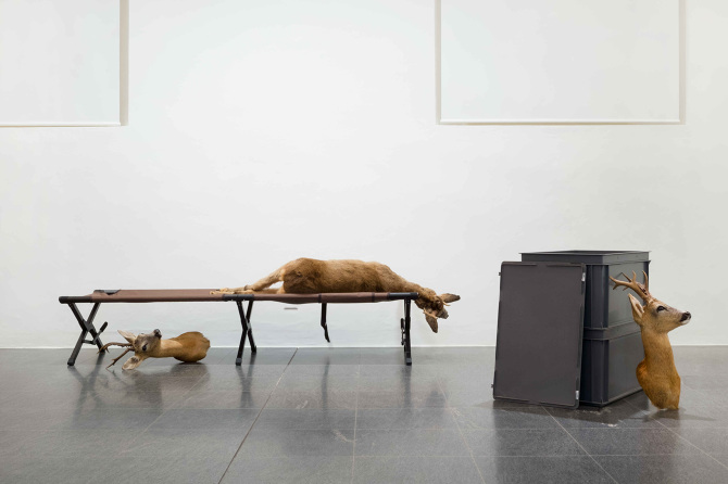 Jeder Jäger träumt von einem Reh, Plattform21 at MASILugano, 2021
Photo credits: Mattia Angelini