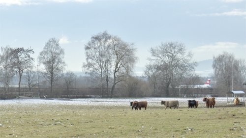 Sabrina Labis, Cindy Liebt Mich Nicht, Videostill, 2014