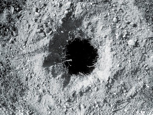 Trou Noir N° 3, «Creuser la terre est un acte sacral», Fotografie,
15 × 20 cm, 2009
