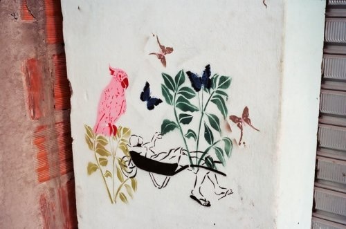 O Mundo – Cultura e Natureza em Lagoa do Ouro, 2008