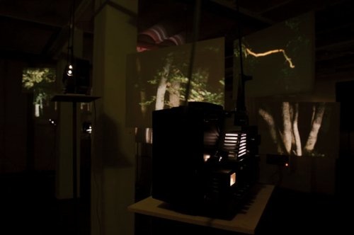 Forêt épileptique, Plattform07, 2007