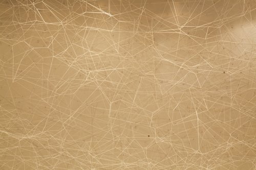 Moment cinétique, Zusammenarbeit mit Nina Langensand, Performance,
Installation (Polyesterfaden, Baumwollfaden, Nägel, Reisnägel, Agraffen,
Wii-Controller, Projektion), 2010