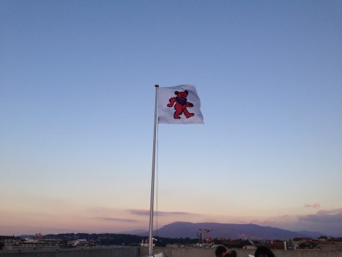 The Grateful Dead Flag Forde, Hand-sewn polyester flag, 150 x 173 cm, 2015